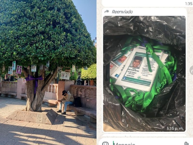 Buscadoras de Guanajuato lidian con acoso, amenazas y abandono; surgen nuevas denuncias