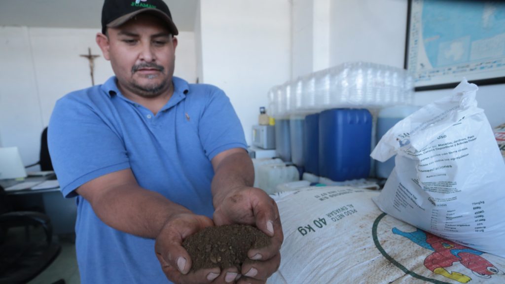 costo fertilizante Guanajuato