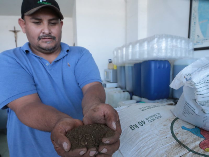 Otra crisis para el campo de Guanajuato: Guerra desata alza en fertilizantes y diésel
