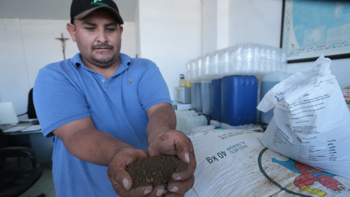 costo fertilizante Guanajuato