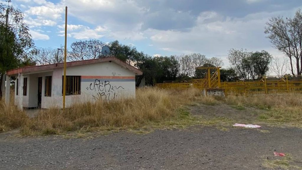 gusano-barrenador-guanajuato-centro-verificacion