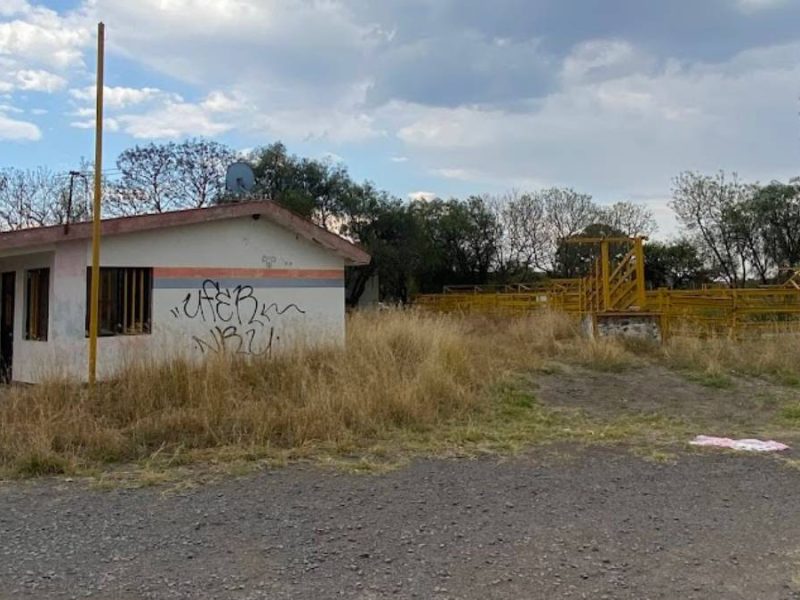 De centros sanitarios a “yonkes”: El abandono que dejó pasar al gusano barrenador en Guanajuato