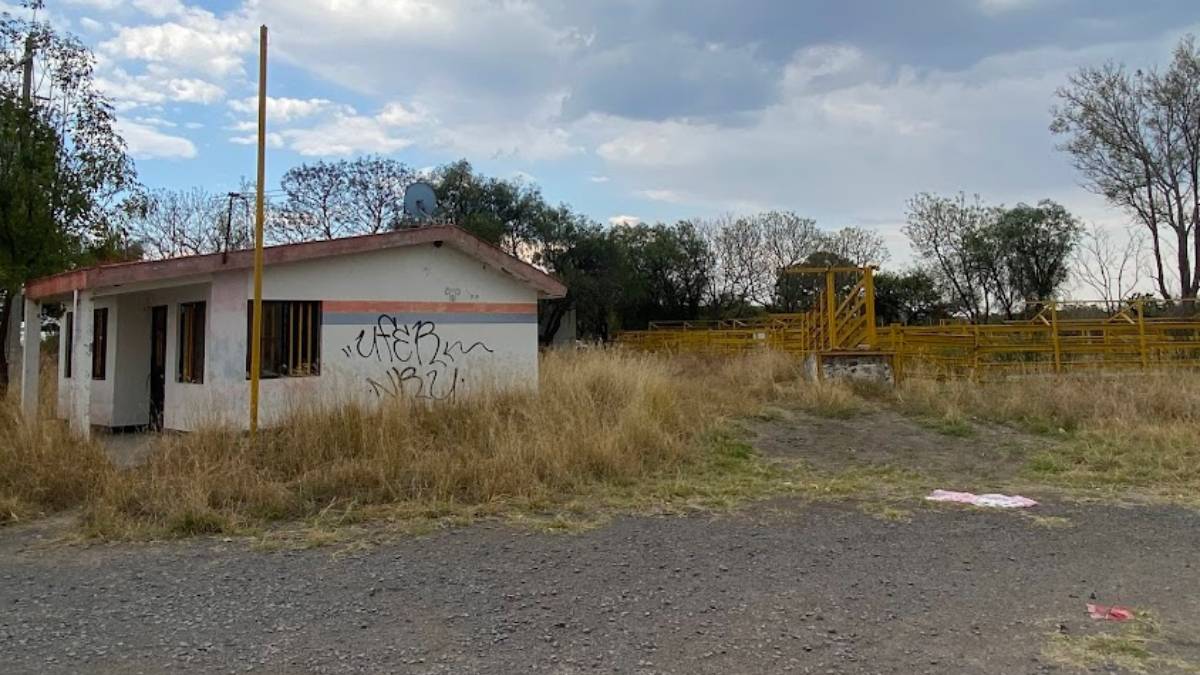 gusano-barrenador-guanajuato-centro-verificacion