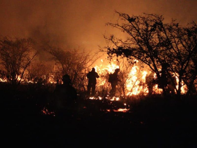 Atienden bomberos hasta 30 incendios diarios en León y cientos de reportes en el 911