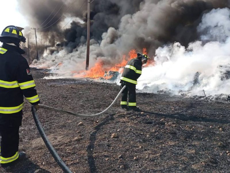 Incendio en León: Fuego consume hectáreas de pastizal, cerca de la Fiscalía, en la colonia Santa Lucía