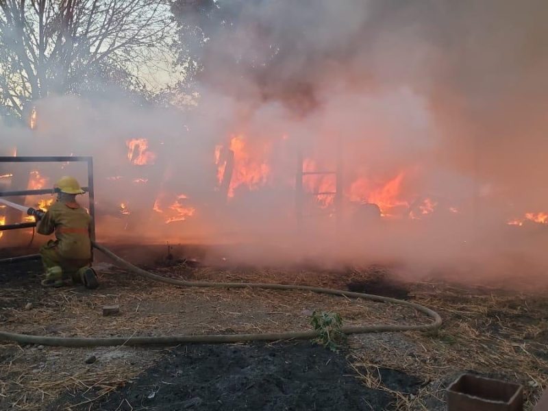 ¡Evita incendios de pastizales! Así han ocasionado daños a terceros en Guanajuato