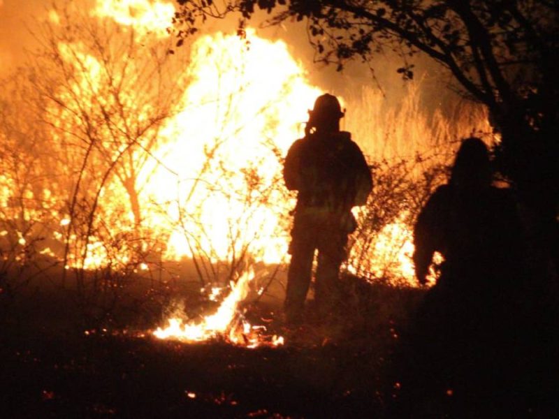 Combaten Bomberos incendios en León; llamas alcanzan una concretera