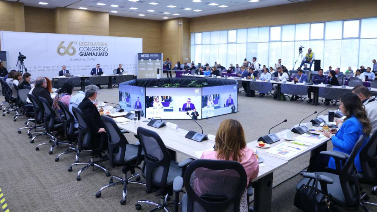 ladrilleras-glosa-segundo-informe