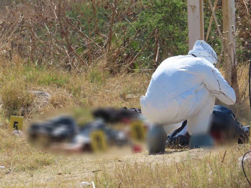 Macabro hallazgo en Eje Metropolitano: Hallan extremidades humanas entre cobijas en León