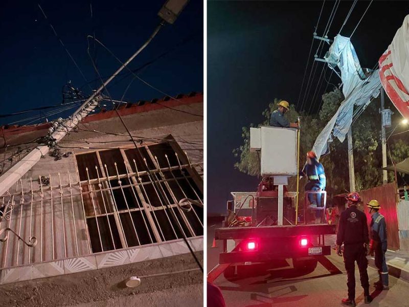 Fuertes vientos en León derriban 35 árboles y cuantiosos daños en estructuras