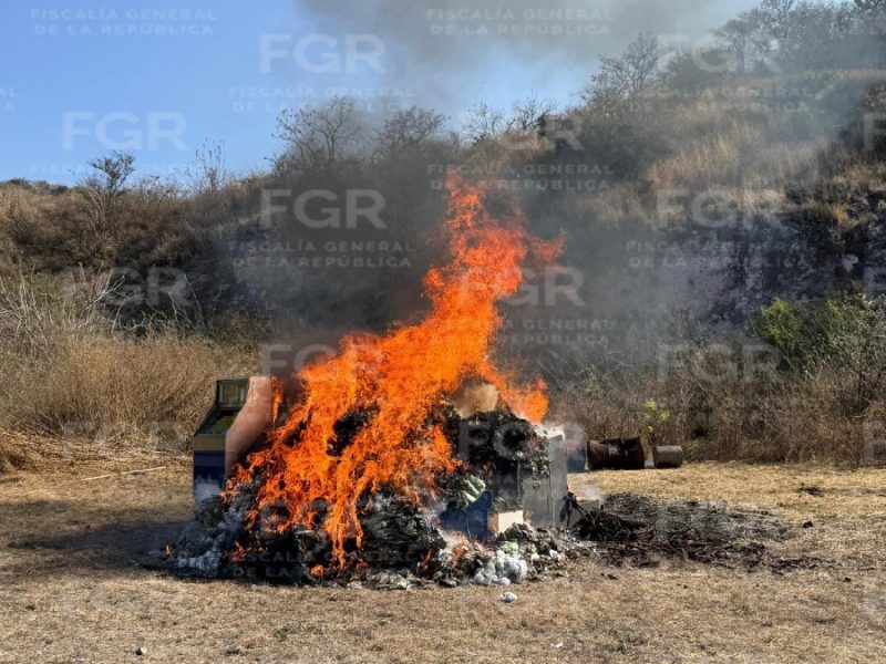 Destruyen más de 350 kilos de marihuana en operativo federal en León
