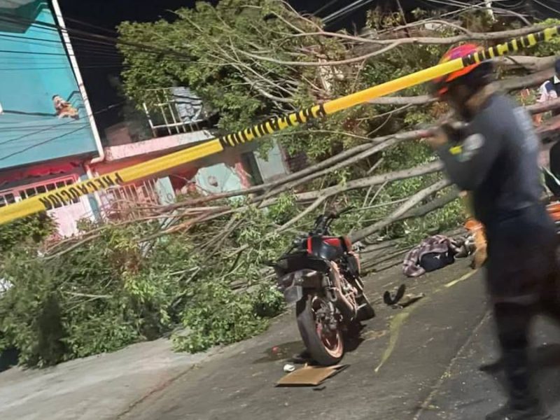 Motociclista choca contra árbol caído por los fuertes vientos en León; está grave