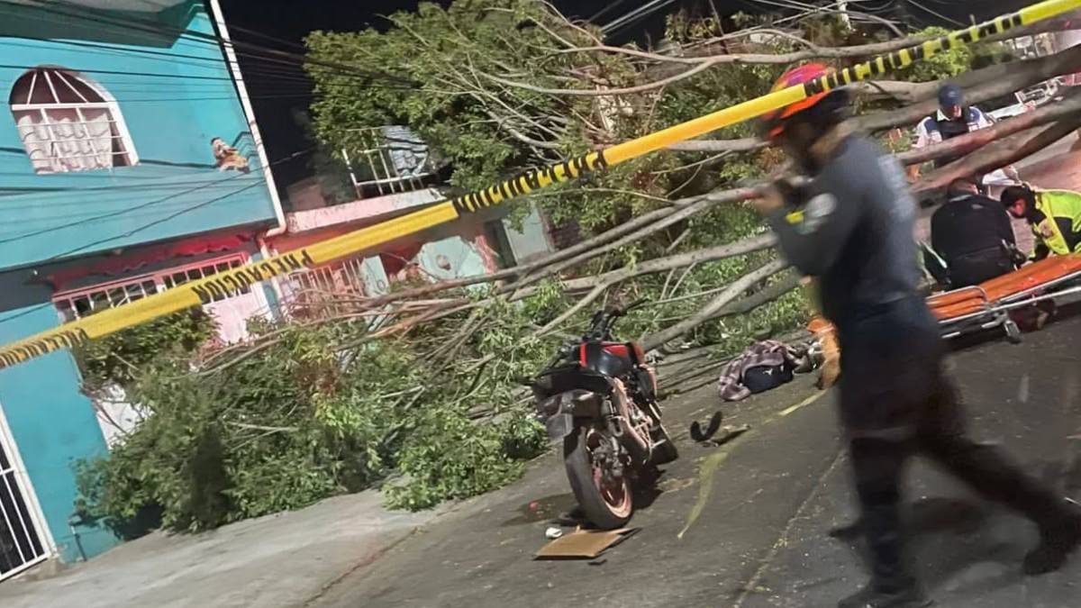 motociclista-leon-choque-arbol