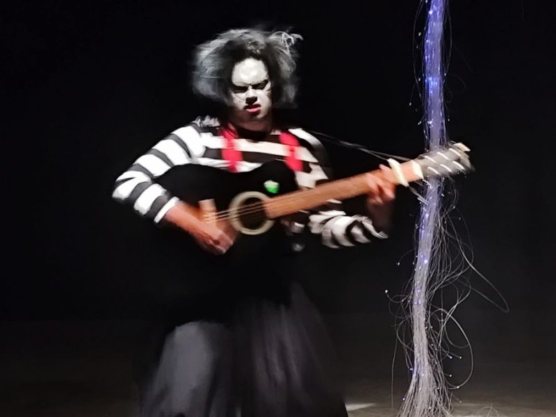 Cautivan a chicos y grandes con la obra “Un viaje al interior de Pluma Blanca”; en el Espacio Cultural Colaborativo