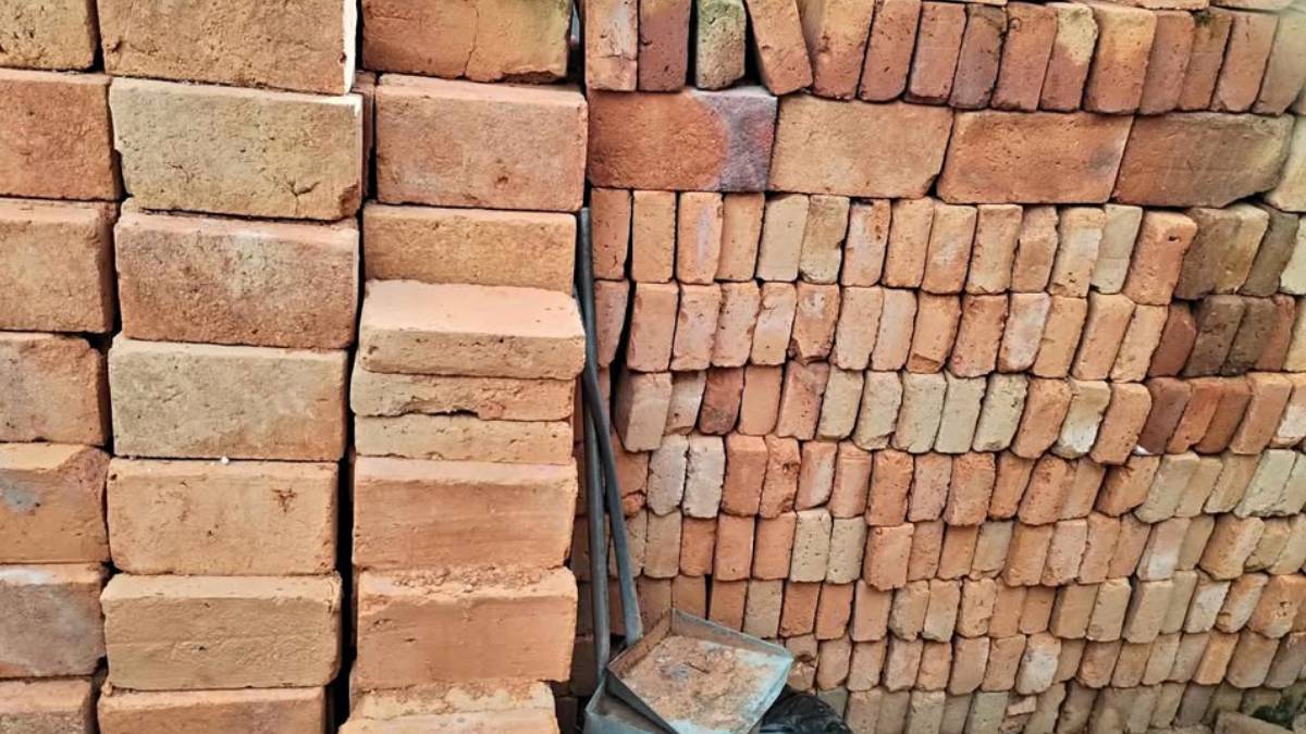 parque-ladrillero-en-irapuato