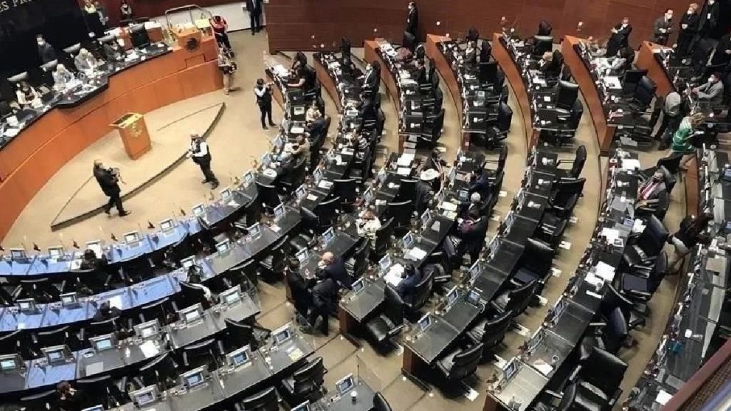senado