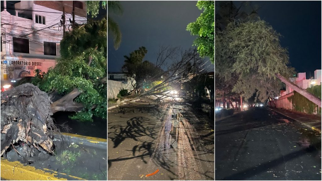 Afectaciones por viento en Irapuato