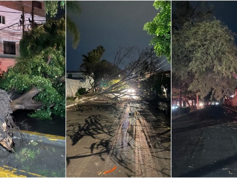 Apagones en varias colonias y árboles caídos dejó el aironazo en Irapuato