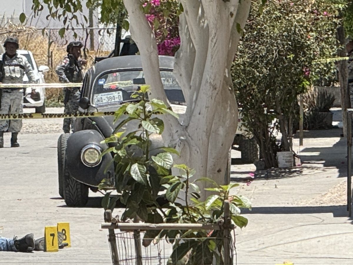 Ataque en la colonia del Bosque: Hombres llaman a la puerta y asesinan a su víctima
