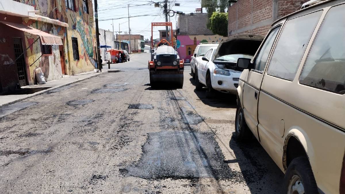 Baches