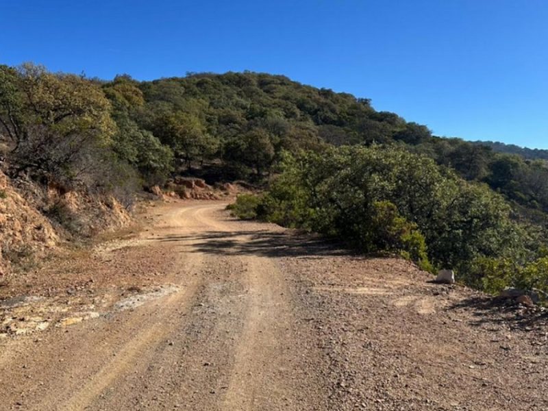 Retiran las rejas que bloqueaban el camino de Los Mexicanos en Guanajuato