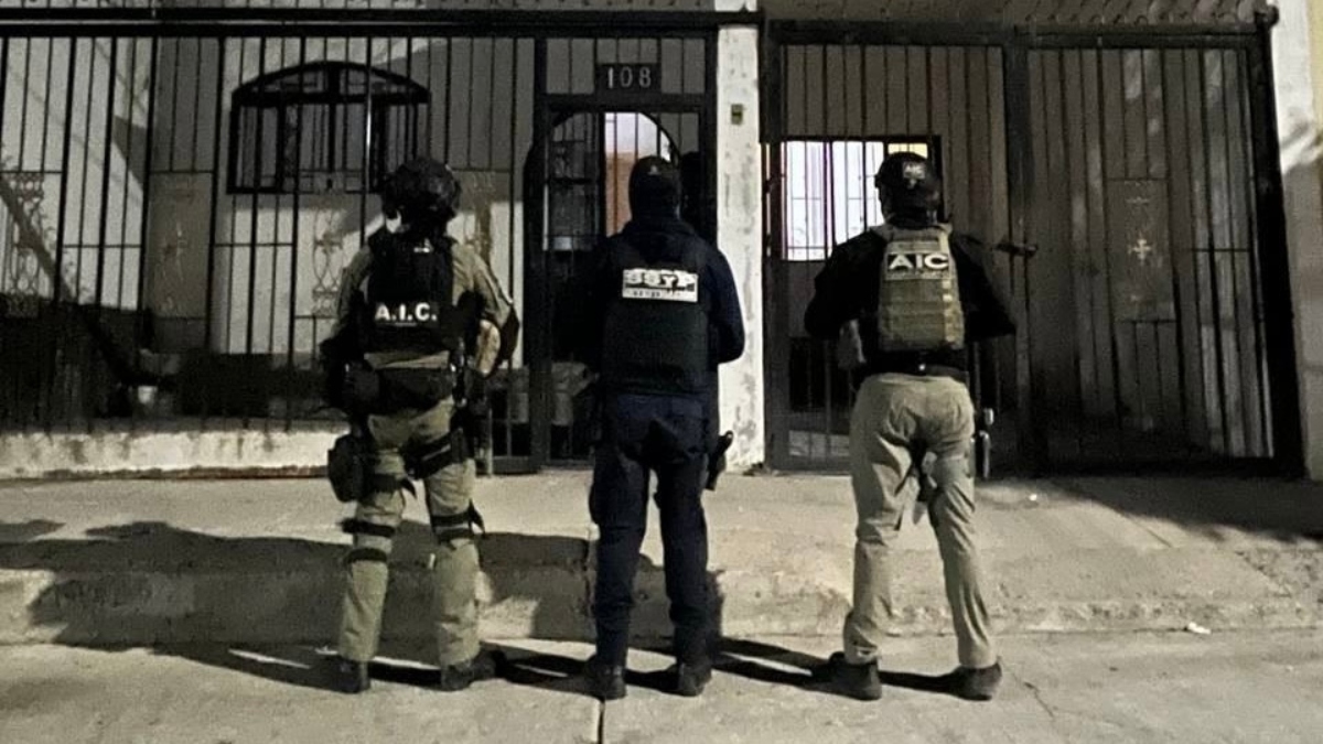 Cateos en colonias de León