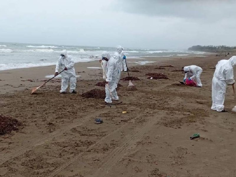 Eco Dharma une a Guanajuato: Colectan cabello para limpiar derrame de hidrocarburos de PEMEX en Veracruz