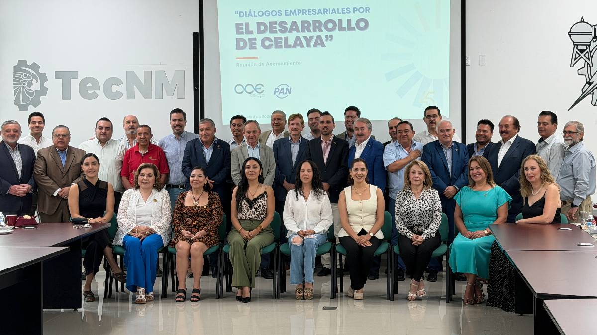 Eliminación de consejos ciudadanos en Celaya