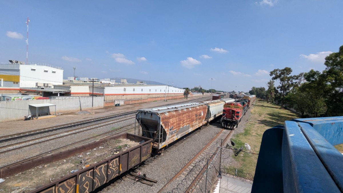 tren irap