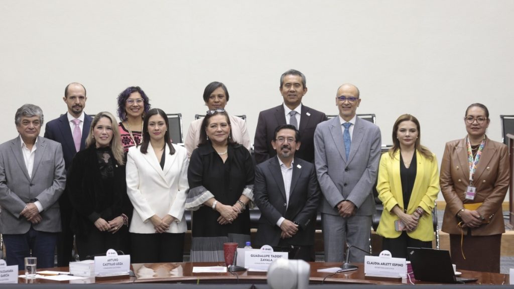 Guadalupe Taddei INE