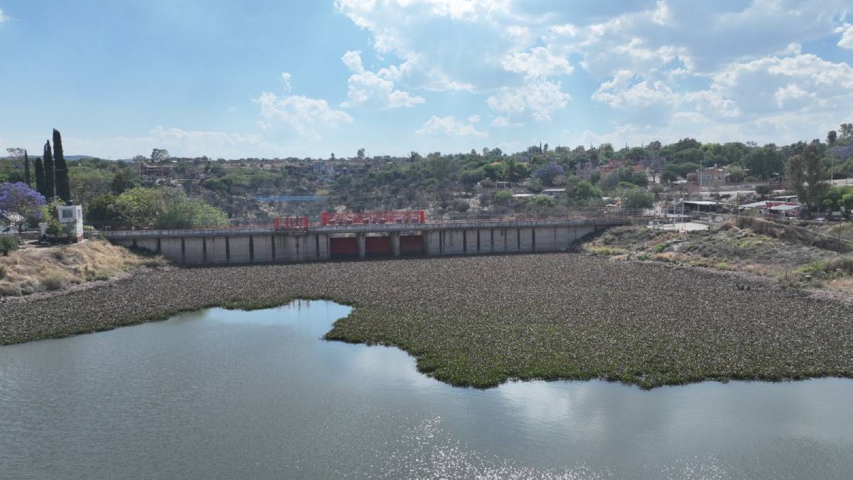 Limpieza en Presa Allende 01