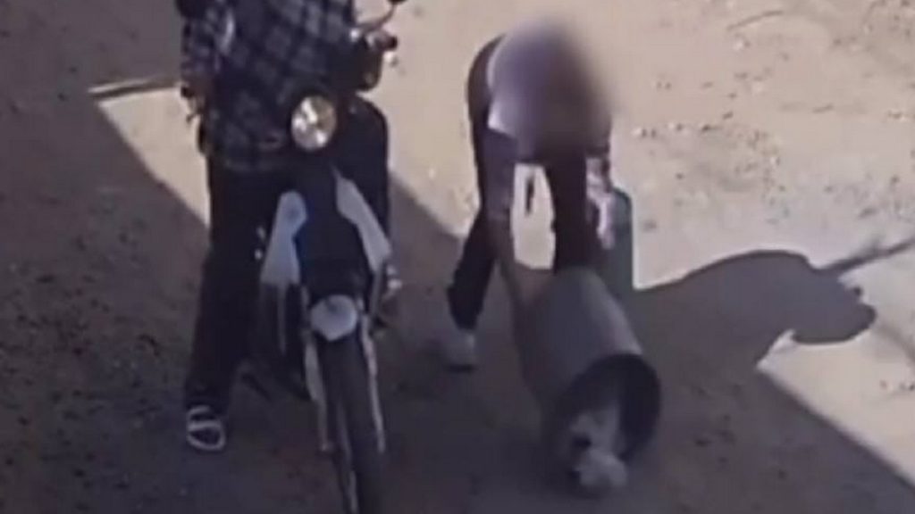 Maltrato animal en León