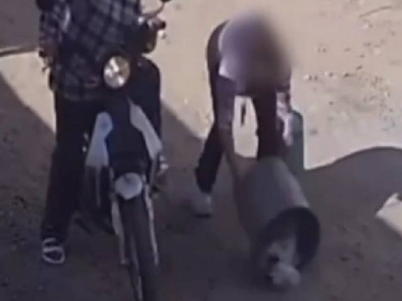 Abandonó a un gato en un costal en la Nuevo Amanecer y ahora enfrenta a la justicia