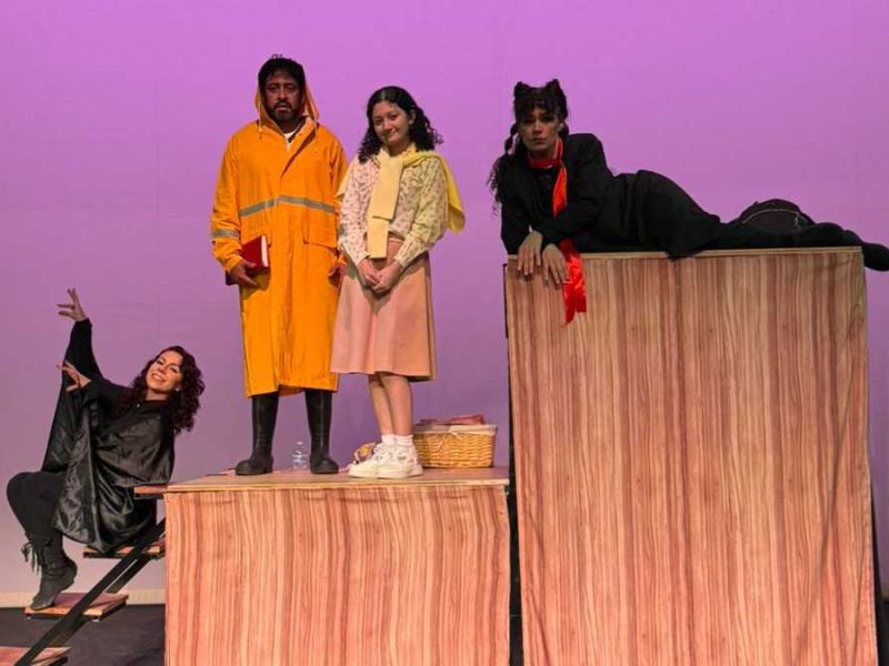 “Neko, el gato viajero”: Una historia sobre crianza y vínculos llega al Teatro Juárez