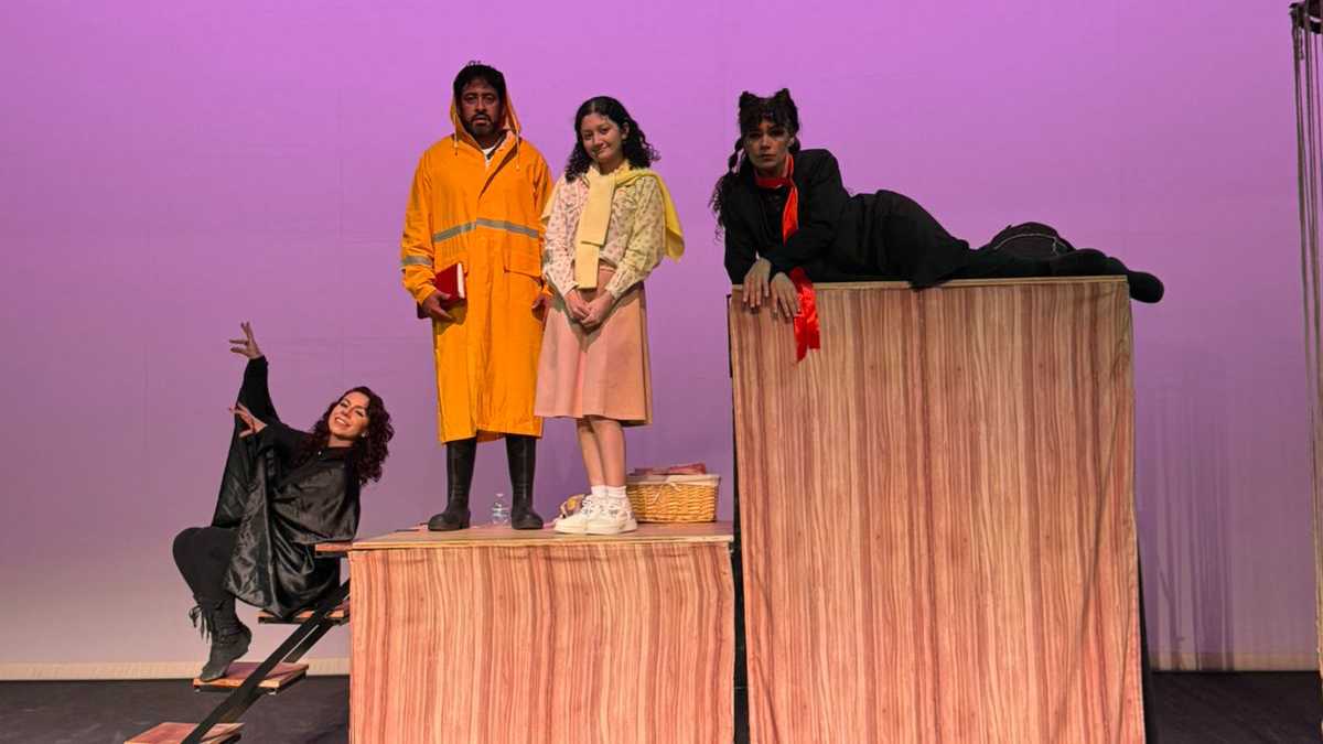 Neko el gato viajero