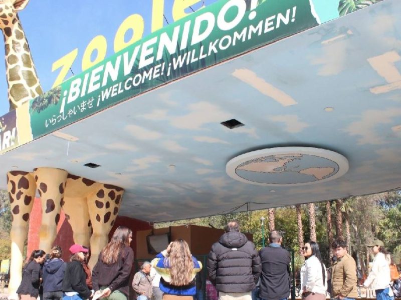 Revisan 16 perfiles y van por terna para elegir al nuevo director del Zoológico de León