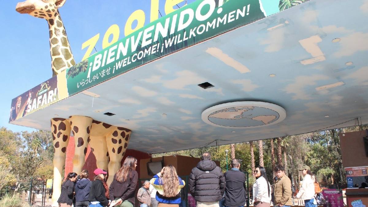 Nuevo director Zoológico de León