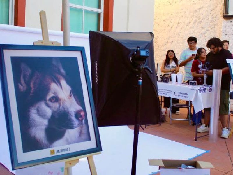 Tote bags, rock y solidaridad: Así se vivió el PicArt! Vol. 3 en apoyo al albergue canino de San Francisco