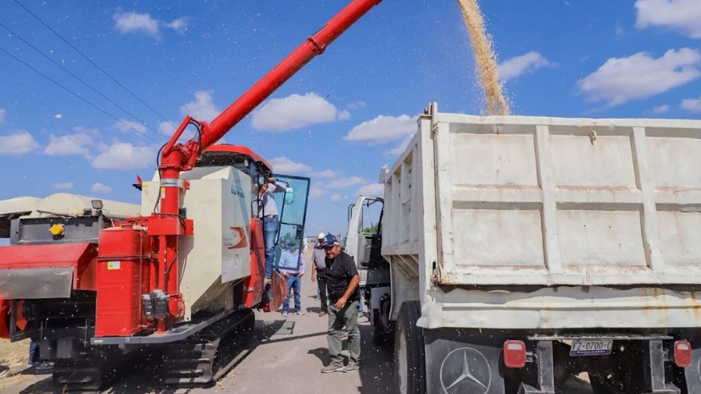 Apoyos a productores de maíz