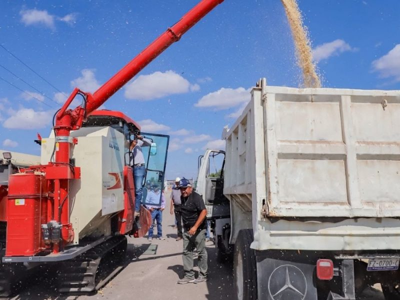 Entregan 60 de 150 millones de apoyos a productores de maíz en Guanajuato; pone Estado fecha límite