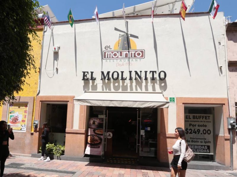 El Molinito y sus famosas ‘Orejas de Elefante’ en León