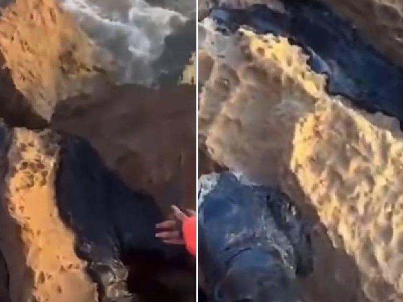 Llega chapopote a playas de la Isla del Padre y Matamoros