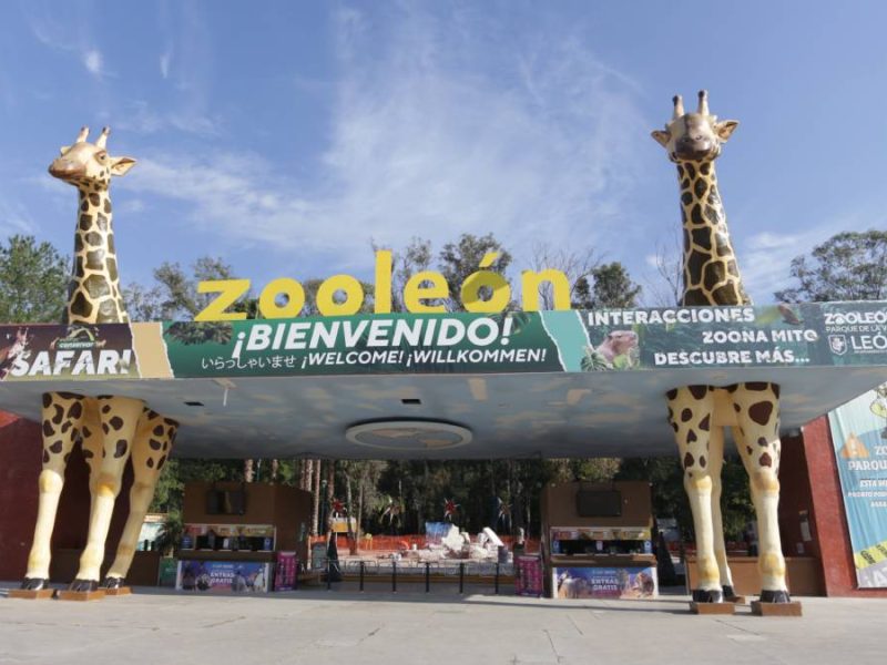 Zoológico de León: de intentos fallidos a un proyecto exitoso
