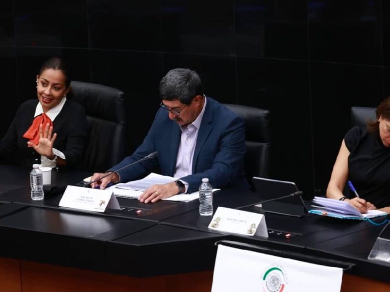 Plantean en el Senado aplazamiento de la elección judicial hasta 2028