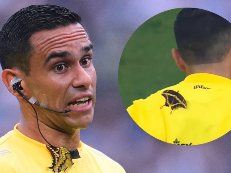 Mariposa protagoniza momento viral en el Monterrey vs San Luis de La Liga MX