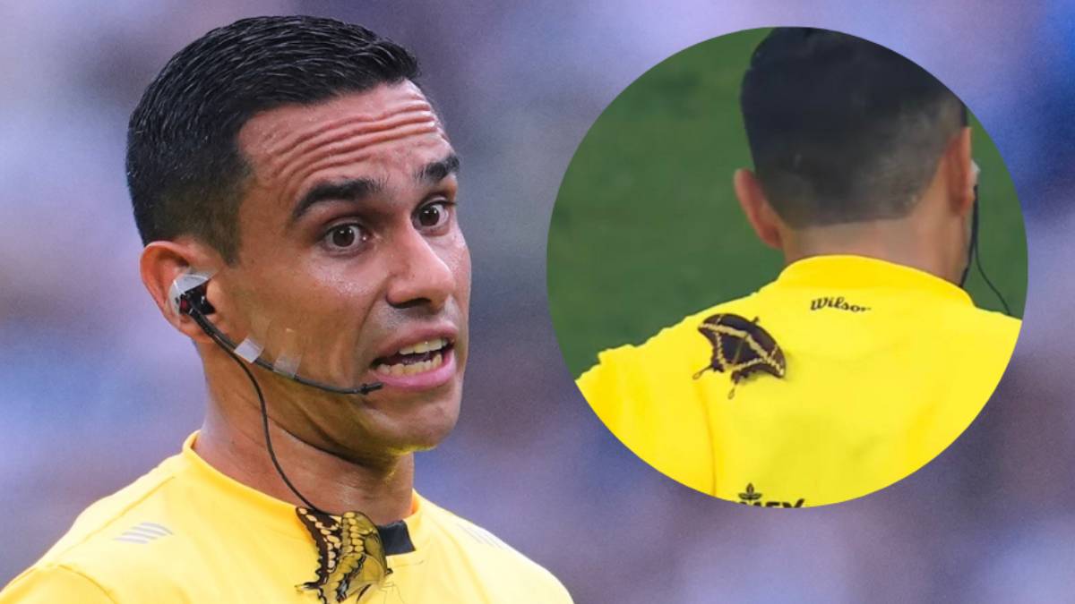 Mariposa protagoniza momento viral en el Monterrey vs San Luis de La Liga MX - Mexsport y captura de pantalla.