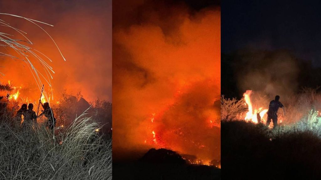 brinco-del-diablo-abasolo-incendio