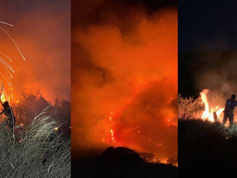 Provocan incendio en el cerro Brinco del Diablo; consumen 10 hectáreas de flora y fauna