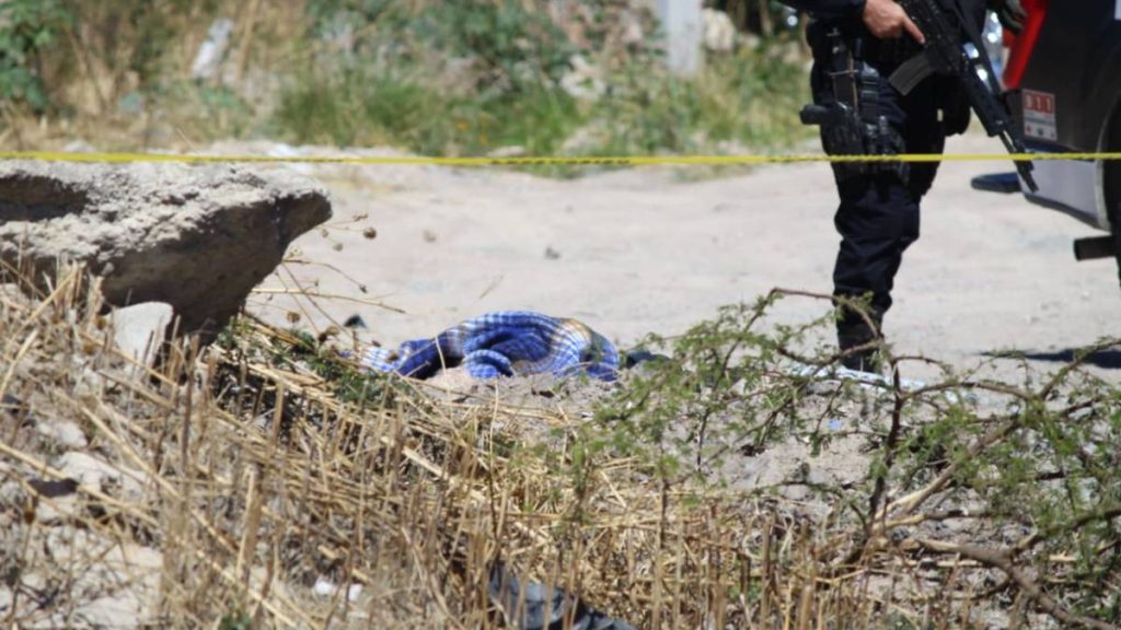 cuerpo-carretera-lagos-leon