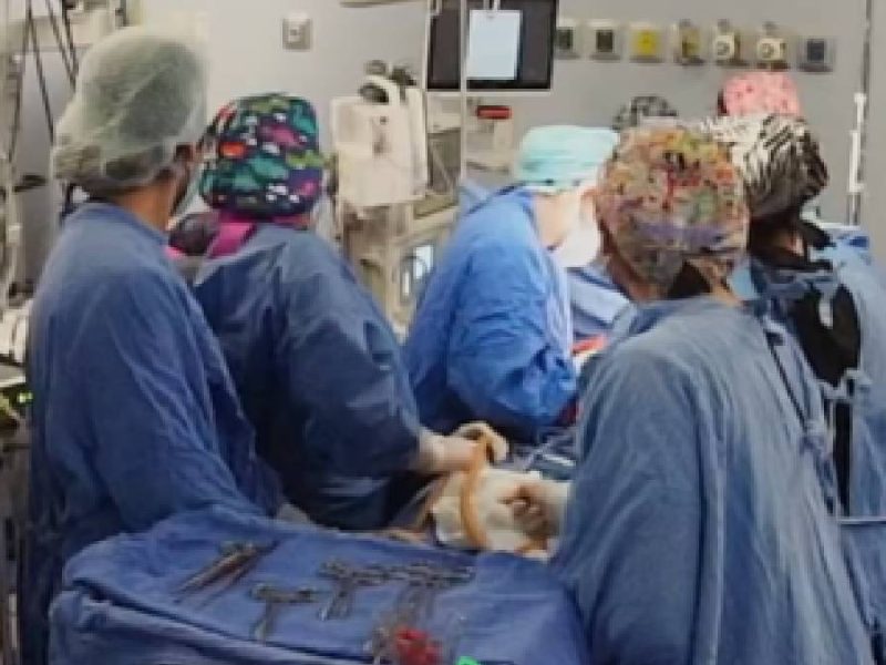 Dos adolescentes de Guanajuato regalan vida a más de 100 personas tras donar sus órganos